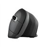RATON TRUST VERRO WIRELESS ERGONOMIC