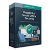 ANTIVIRUS KASPERSKY SMALL OF. SEC. SERVER 7.0 + 10L