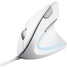 RATON TRUST VERTO USB ERGONOMIC WHITE