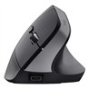 RATON TRUST BAYO+ ERGONOMICO 2400 DPI WIRELESS BLACK