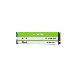 DISCO DURO SSD KIOXIA 256GB M.2 NVME 2280 M2