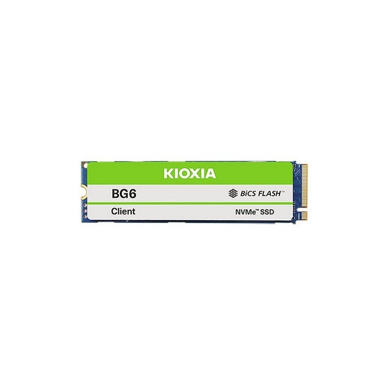 DISCO DURO SSD KIOXIA 256GB M.2 NVME 2280 M2