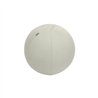 ASIENTO BALON LEITZ ANTIDESLIZANTE ERGO ACTIVE 55CM SILVER