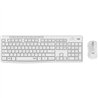TECLADO + RATON LOGITECH MK295 WIRELESS WHITE